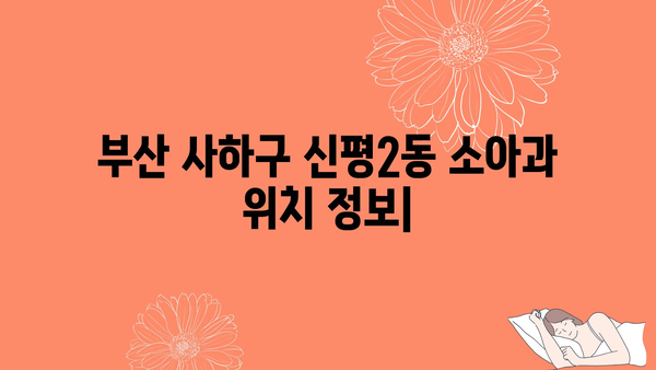 부산시 사하구 신평2동 소아과 위치 정보