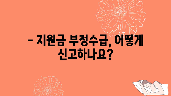 정부지원금 부정수급 대응책