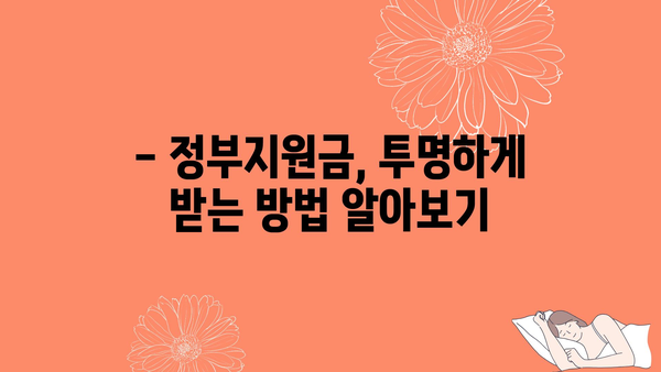 정부지원금 부정수급 대응책