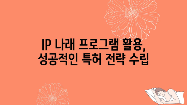 특허 정부 지원 사업: IP 나래 프로그램 및 수행 사례