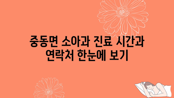 강원도 영월군 중동면 소아과 위치 정보