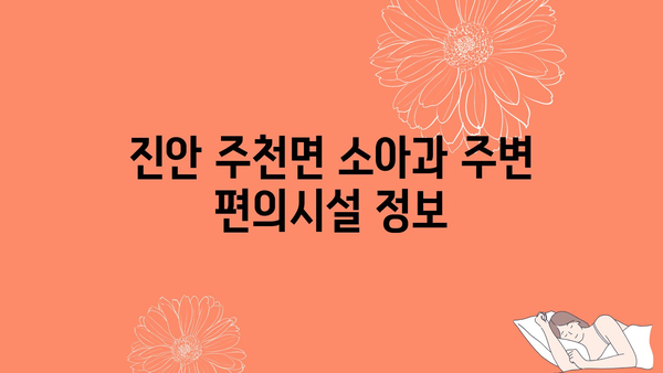 전라북도 진안군 주천면 소아과 위치 정보