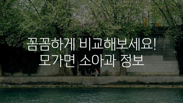 경기도 이천시 모가면 소아과 위치 정보