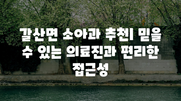 충청남도 홍성군 갈산면 소아과 위치 정보