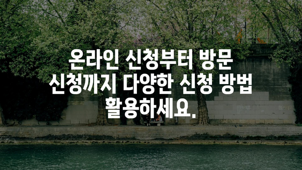 노인을 위한 정부지원금: 자격 요건과 신청 절차 간략 요약