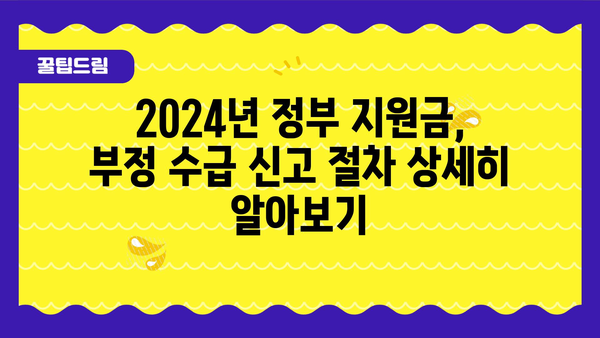 2024년 정부 지원금 부정 수급 신고 방법 및 보상 안내