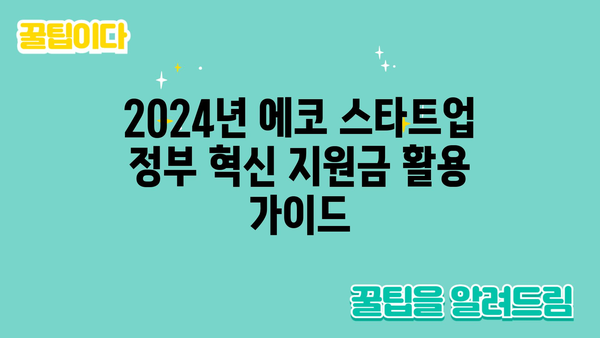 2024년 에코 스타트업 정부 혁신 지원금 활용 법