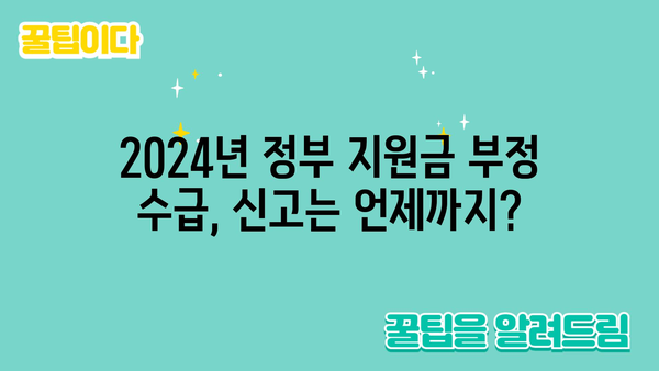 2024년 정부 지원금 부정 수급 신고 기간 안내