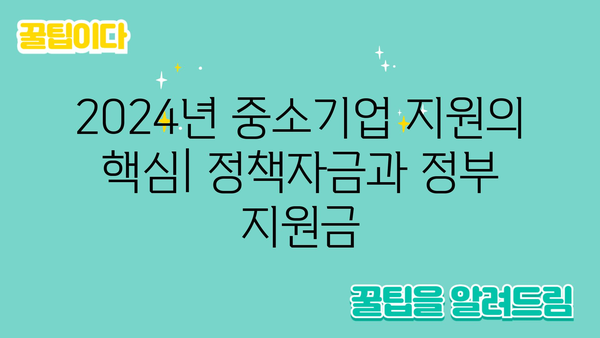 중진공 정책자금과 정부 지원금 2024년 3분 요약