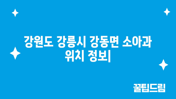 강원도 강릉시 강동면 소아과 위치 정보