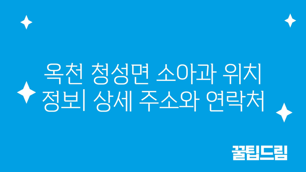 충청북도 옥천군 청성면 소아과 위치 정보