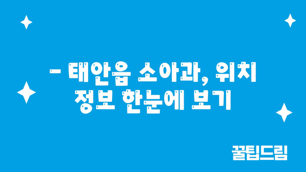 충청남도 태안군 태안읍 소아과 위치 정보