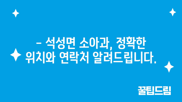 충청남도 부여군 석성면 소아과 위치 정보