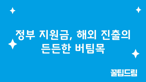 소상공인 해외 진출을 위한 정부지원금 활용