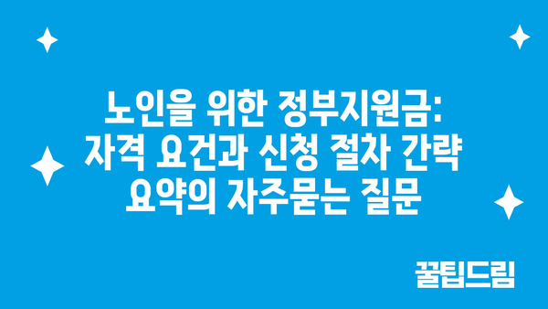 노인을 위한 정부지원금: 자격 요건과 신청 절차 간략 요약