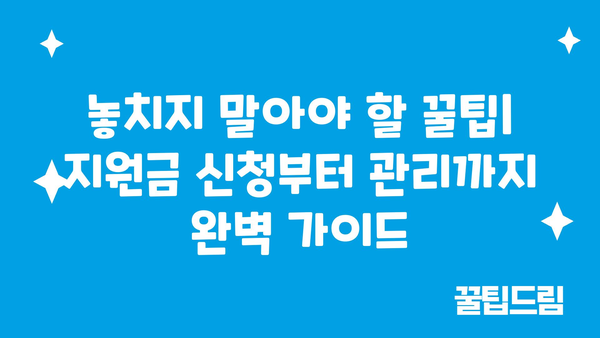 소상공인 정부지원금 종류, 사업 성공을 위한 필수 지침서