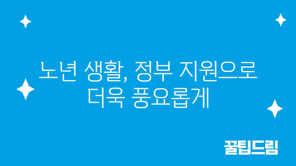 노인 생활비 보조: 정부지원금으로 품질 높은 생활 관리