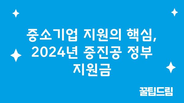 2024년 중진공 정부 지원금 내역