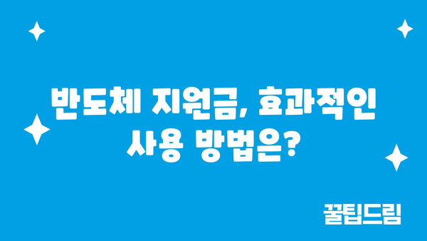 반도체 지원금, 삼성에선 사용하지 말까?