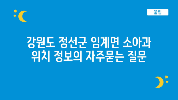 강원도 정선군 임계면 소아과 위치 정보