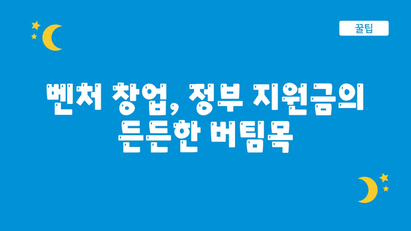 국가 혁신과 성장: 정부 지원금의 촉매 역할