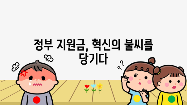 국가 혁신과 성장: 정부 지원금의 촉매 역할