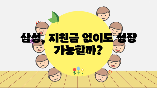 반도체 지원금, 삼성에선 사용하지 말까?