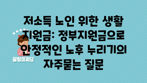 저소득 노인 위한 생활 지원금: 정부지원금으로 안정적인 노후 누리기