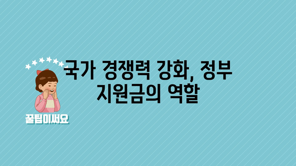 국가 혁신과 성장: 정부 지원금의 촉매 역할