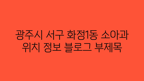 광주시 서구 화정1동 소아과 위치 정보