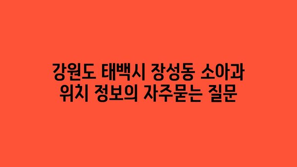 강원도 태백시 장성동 소아과 위치 정보