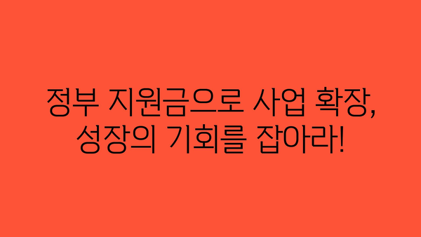 개인사업자 정부지원금 종류 파악, 사업 성장에 필요한 자금 지원