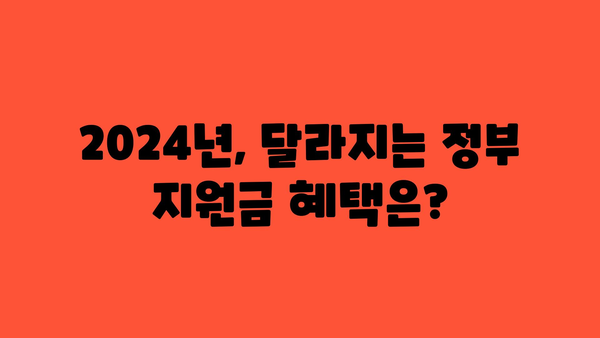 확대된 혜택 확인하기! 2024년 정부 지원금 변경사항 및 확대 혜택