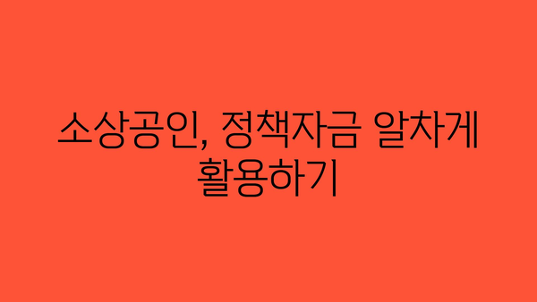 소상공인 정책자금과 정부 지원금 활용