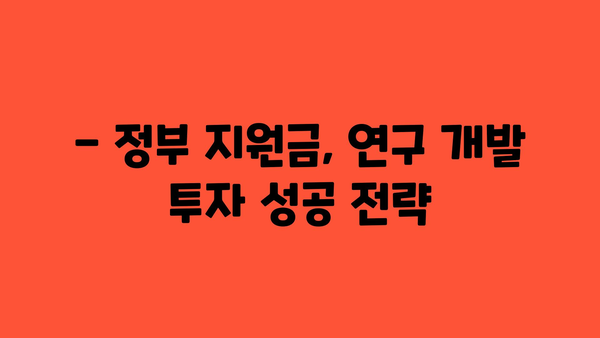 정부 지원금을 통한 연구 개발 투자 최적화