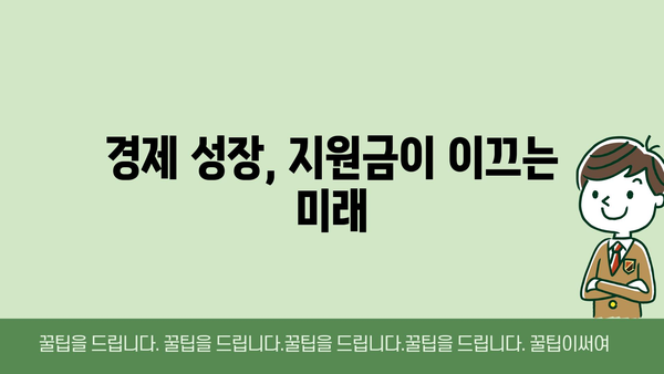 국가 혁신과 성장: 정부 지원금의 촉매 역할