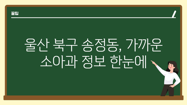 울산시 북구 송정동 소아과 위치 정보