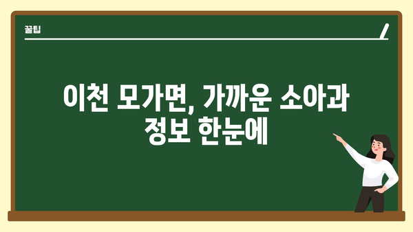 경기도 이천시 모가면 소아과 위치 정보