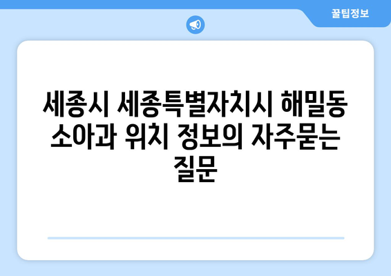 세종시 세종특별자치시 해밀동 소아과 위치 정보