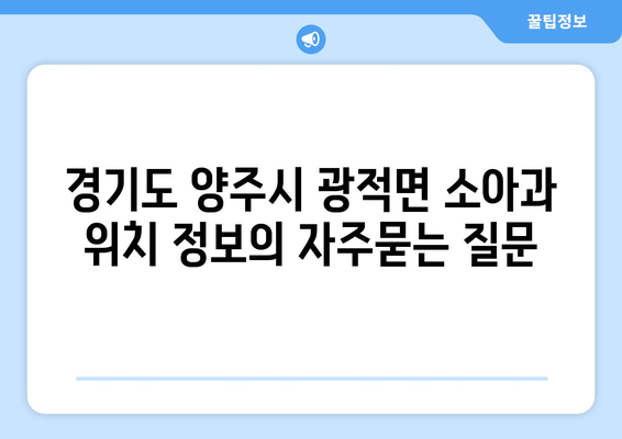 경기도 양주시 광적면 소아과 위치 정보