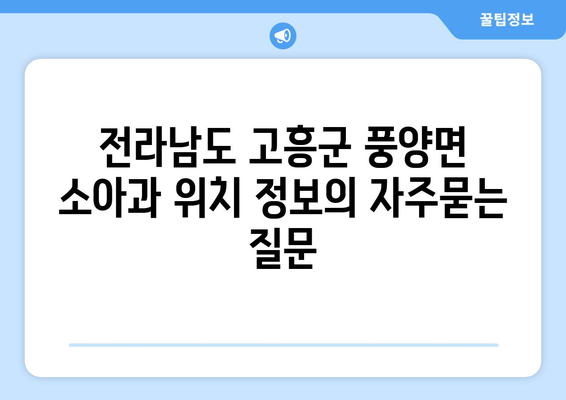 전라남도 고흥군 풍양면 소아과 위치 정보