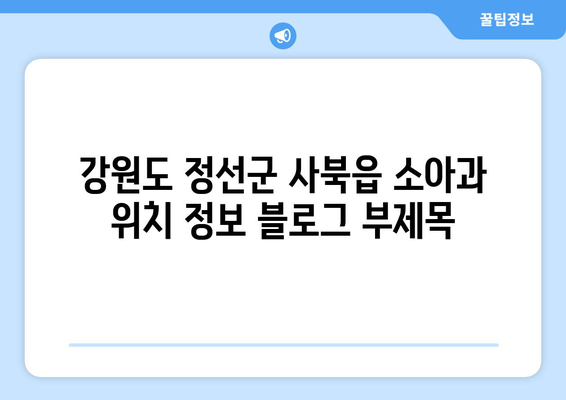 강원도 정선군 사북읍 소아과 위치 정보