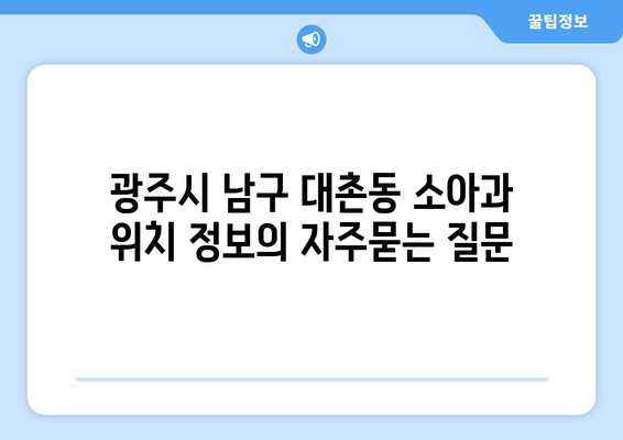 광주시 남구 대촌동 소아과 위치 정보