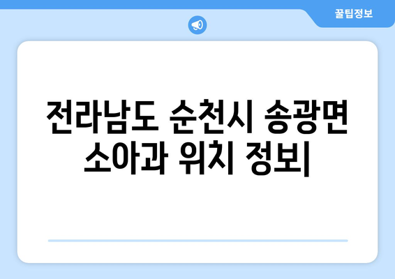 전라남도 순천시 송광면 소아과 위치 정보