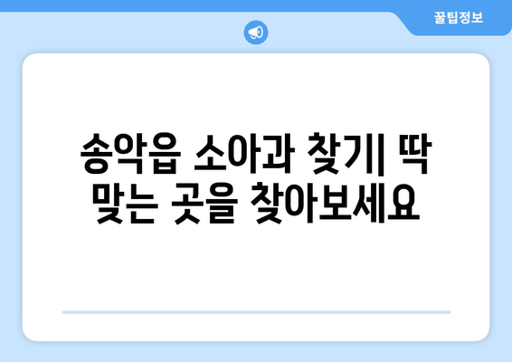 충청남도 당진시 송악읍 소아과 위치 정보