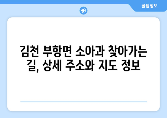 경상북도 김천시 부항면 소아과 위치 정보