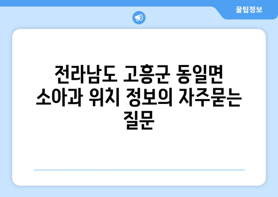 전라남도 고흥군 동일면 소아과 위치 정보