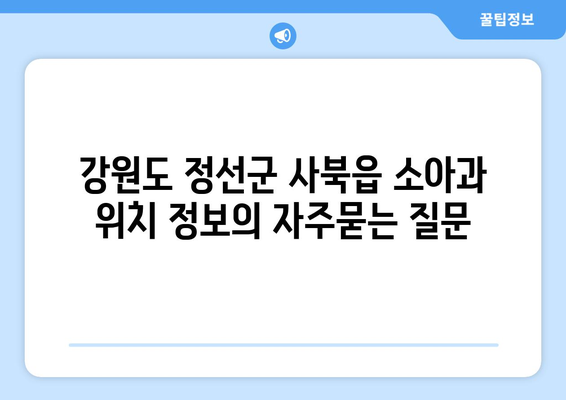 강원도 정선군 사북읍 소아과 위치 정보