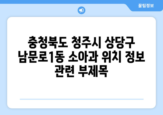 충청북도 청주시 상당구 남문로1동 소아과 위치 정보