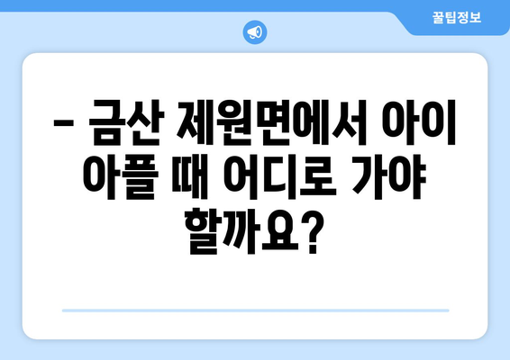 충청남도 금산군 제원면 소아과 위치 정보